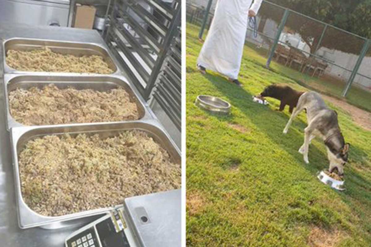 Les restes sont transformés en plats délicieux.