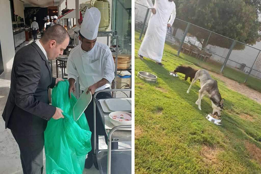 Hotel lujoso de Abu Dabhi dona las sobras de comida a refugios de animales