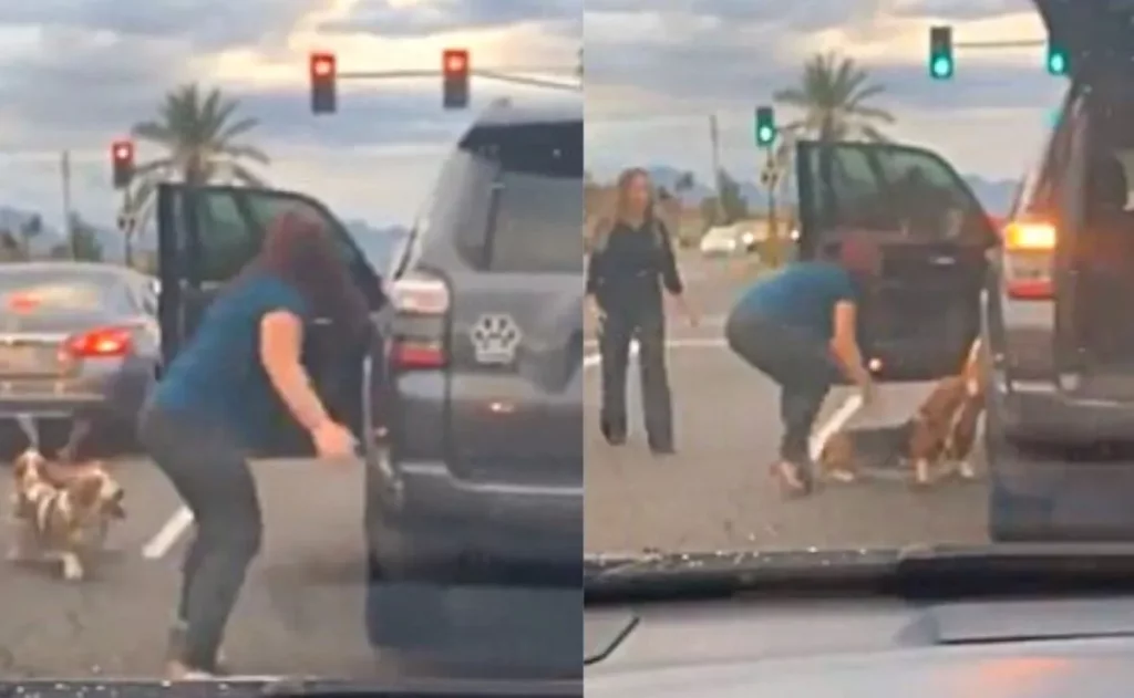Mujer se baja de su auto en medio del tráfico para salvar a unos perritos