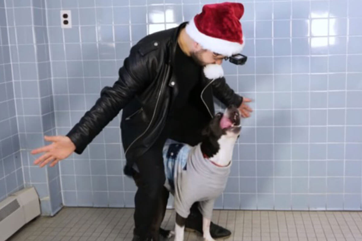 Un magicien prépare un spectacle de magie pour un refuge pour animaux.