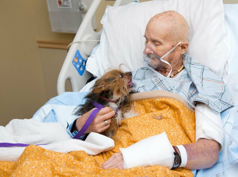 Adulto mayor en hospicio ruega ver a su perro por última vez para despedirse