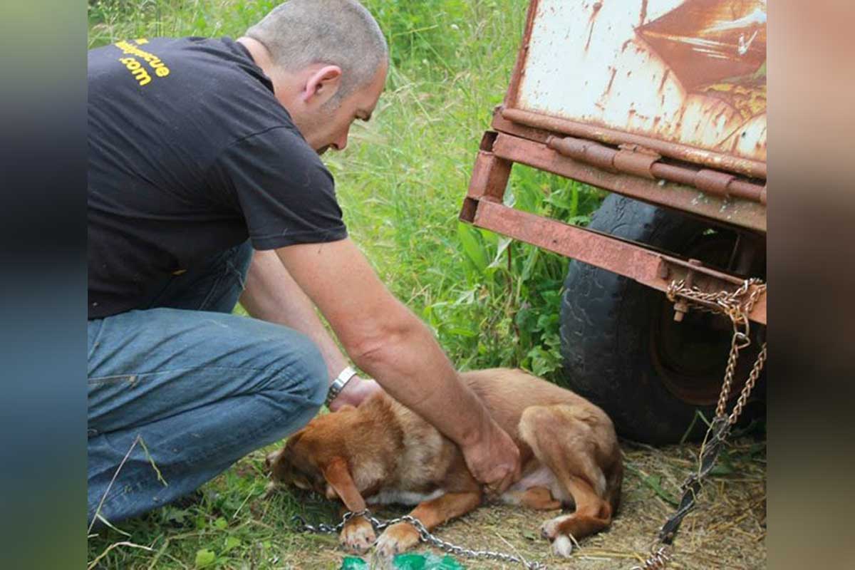 Le sauvetage de Duke.
