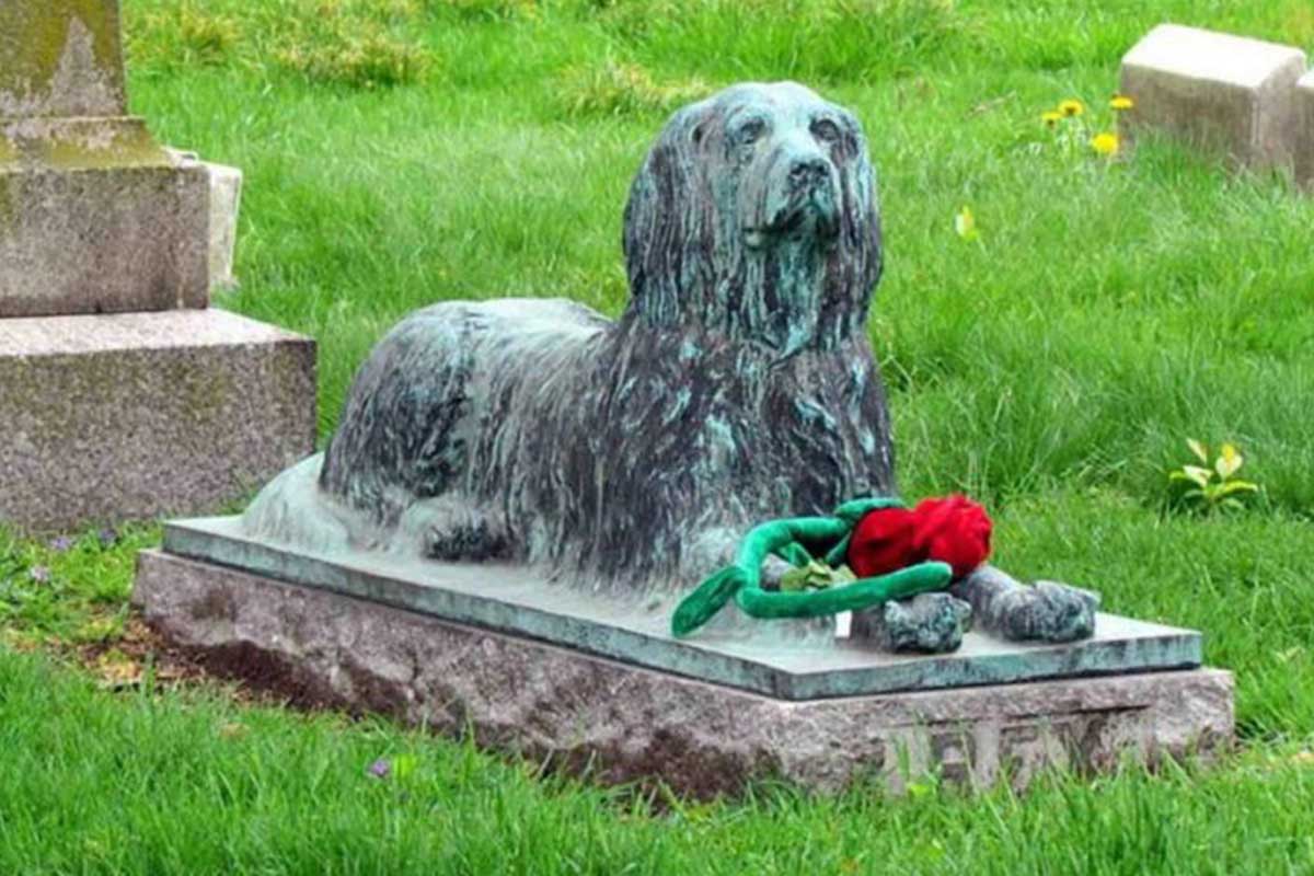 personas dejan palos y ramas en la tumba de un perrito desde hace 100 años