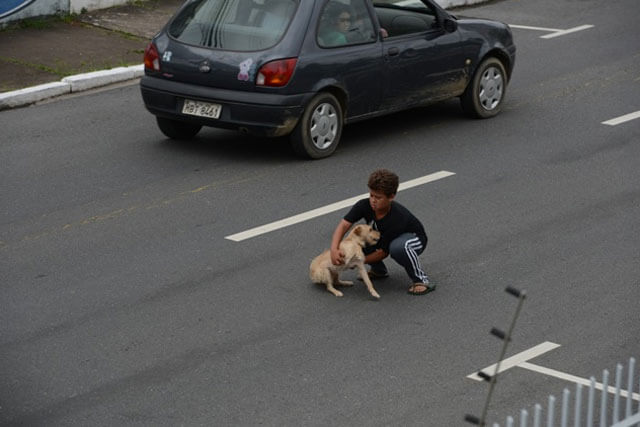 El niño salvando al perrito atropellado