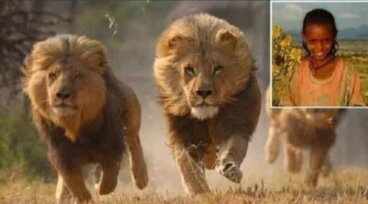 Leones rescataron y protegieron a una niña de un grupo de violentos secuestradores