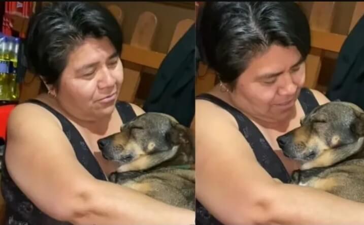 Mujer duerme a su perrito como si fuera un bebé, le canta y lo abraza
