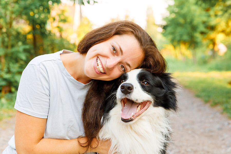 perro espera con una sonrisa ser adoptado