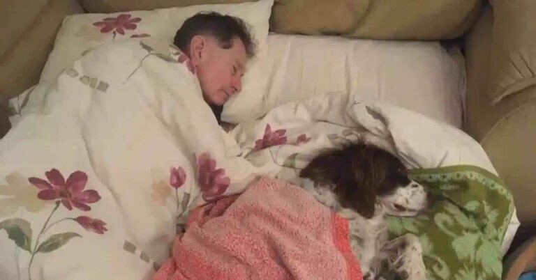 Familia de perrito enfermo, se turna para dormir abajo ya que está muy débil para subir