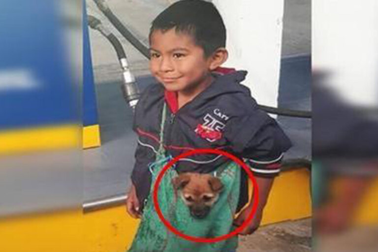 A pesar de las adversidades, este humilde niño lleva a su perrito del modo más adorable