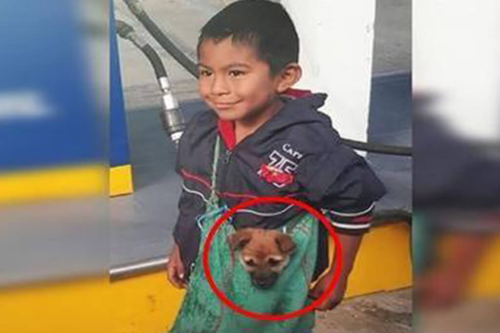 Un niño humilde lleva a su perrito en una mochila.