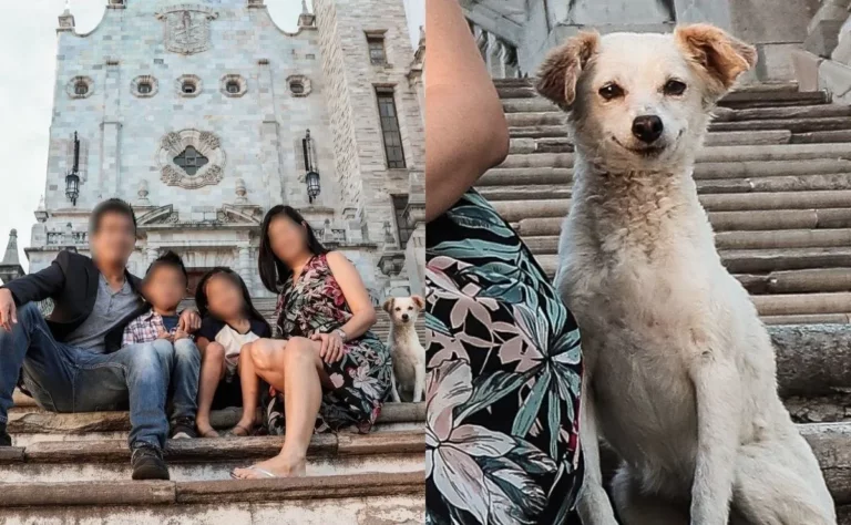Perrito sin hogar, se convierte en el protagonista de una foto familiar