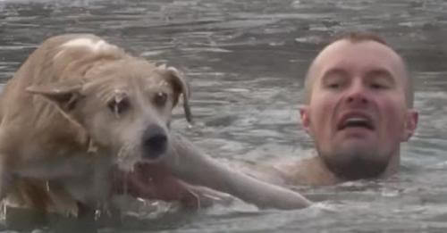 Reportero salta al agua helada para rescatar un perrito en una transmisión en vivo