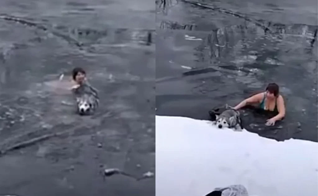 Mujer salta a un río helado para rescatar un perro que se estaba congelando
