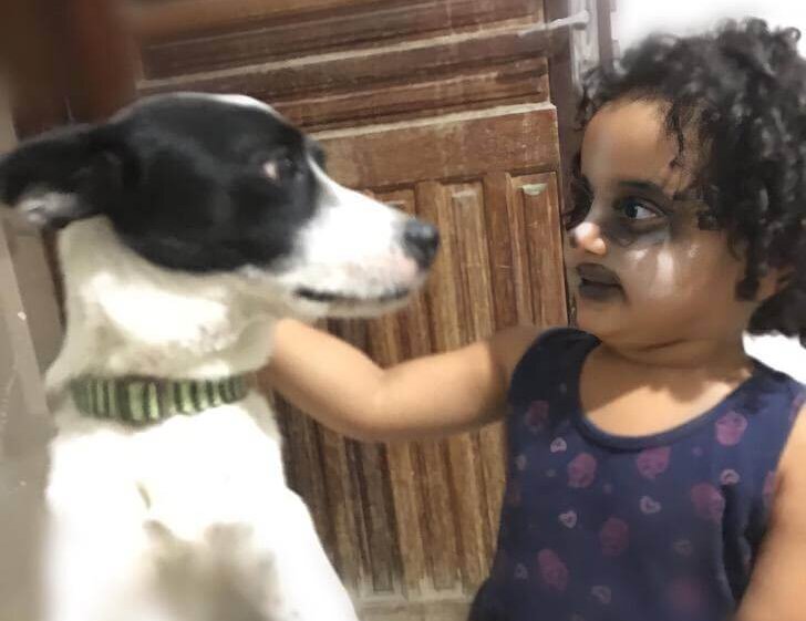 El perro de la casa y la niña.