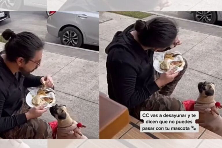 Le negaron la entrada a su perrita en un restaurante, así que decidió comer afuera que dejarla sola