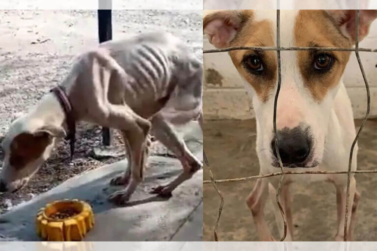 Rufina ahora puede sonreír después de una vida llena de maltrato y sufrimiento