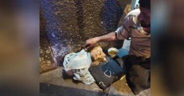 Solicitan ayuda para hombre sin hogar y una perrita en estado de abandono