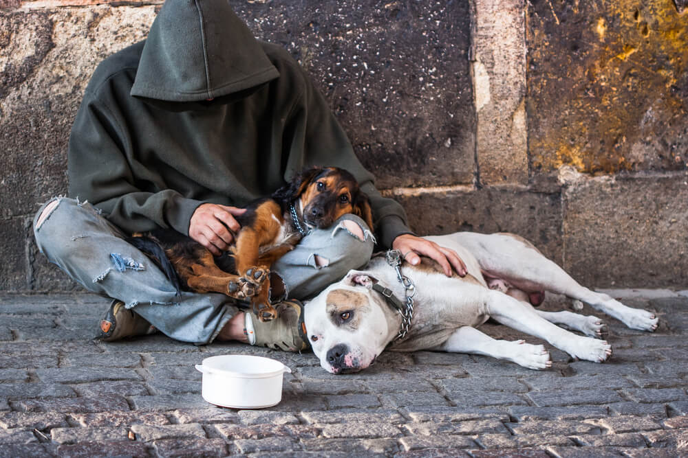 Según estudio, los perros son el mayor consuelo de las personas sin hogar