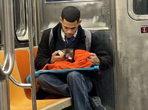 El hombre alimentando al gatito bebé.