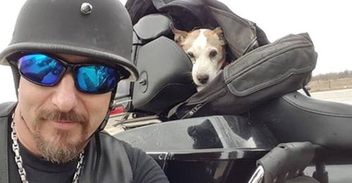 Motociclista se detiene a salvar a un perrito que estaba siendo maltratado en carretera