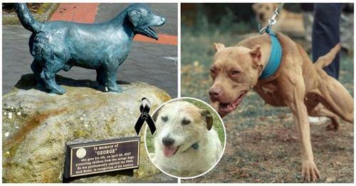 Perrito tiene su propia estatua, falleció al salvar a cinco niños de un ataque de pitbulls