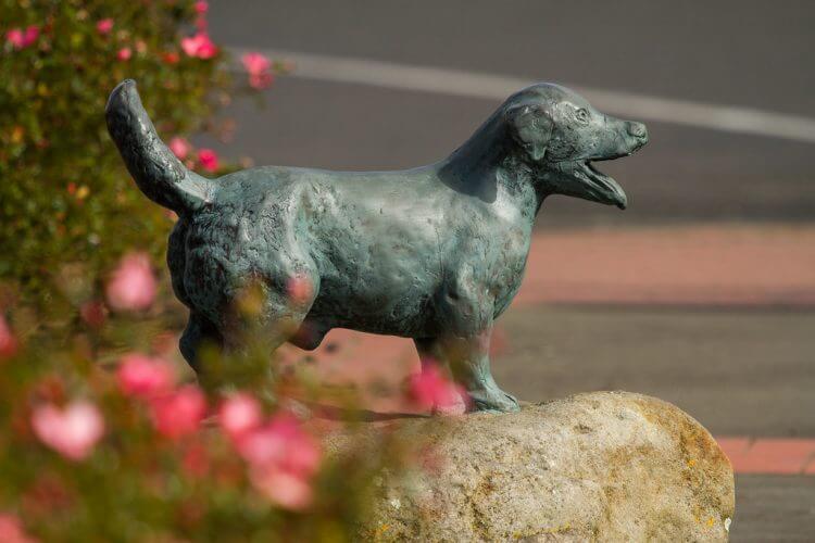 La estatua del perrito.