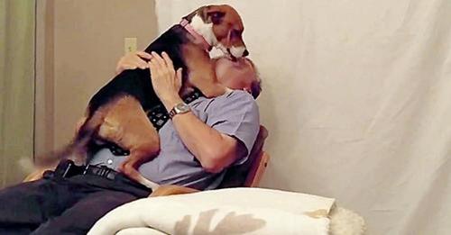 Perrita recién adoptada ahoga a besos a su nuevo papá después de haber evitado su eutanasia