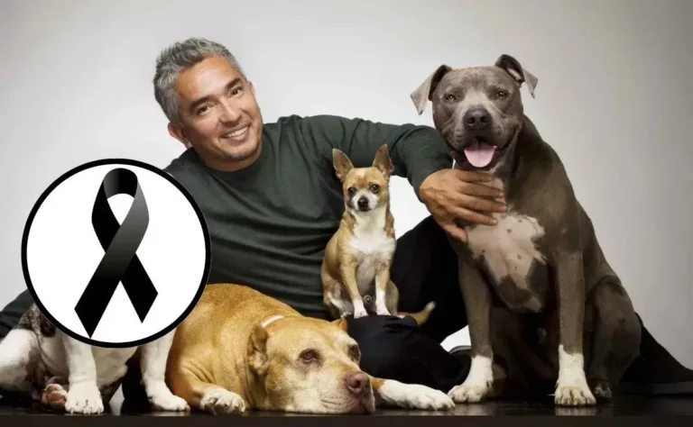 Los tres perritos fallecidos del famoso entrenador César Millán
