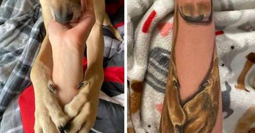 "Es como si me abrazara": se tatuó las patitas de su perro como consuelo al haberlo perdido