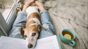 ¿Sabes que los perros tienen la habilidad de ver el aura de las personas?