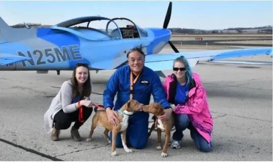 Piloto retirado lleva perros de rescate a sus nuevas familias en su avión militar