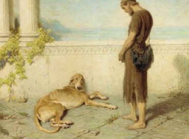 Historia de Argos: perro que esperó 20 años a que su dueño regresara para poder morir