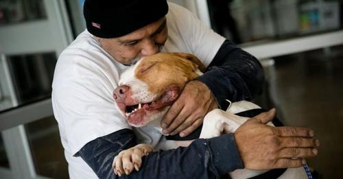 Llevó a cabo su promesa de volver por el perrito que se vio obligado a dejar en el refugio