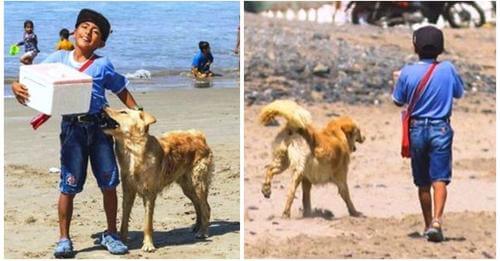 Niño vende helados en la playa para poder alimentarse y su perrito no se aleja de él