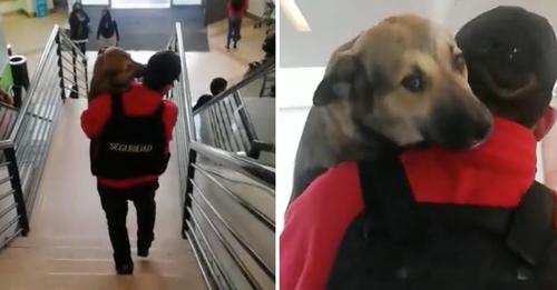 Elogian a guardia de seguridad porque sacó a un perrito cargado en brazos, tratándolo con delicadeza