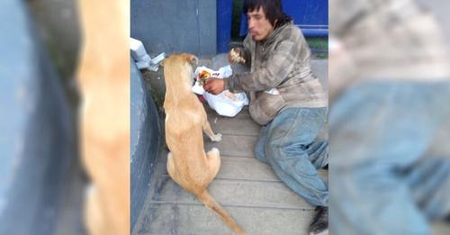 Hombre sin hogar comparte con su perrita la poca comida que logra conseguir