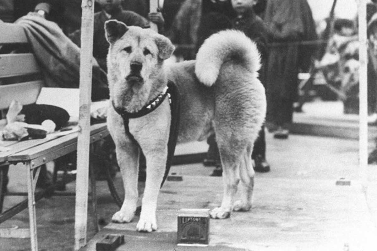 La tumba de Hachiko se ubica en el cementerio de Aoyama.