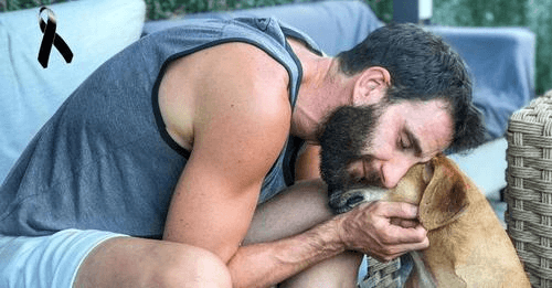 "Me has roto el alma" confiesa Dani Rovira destrozado por el fallecimiento de su amado perro