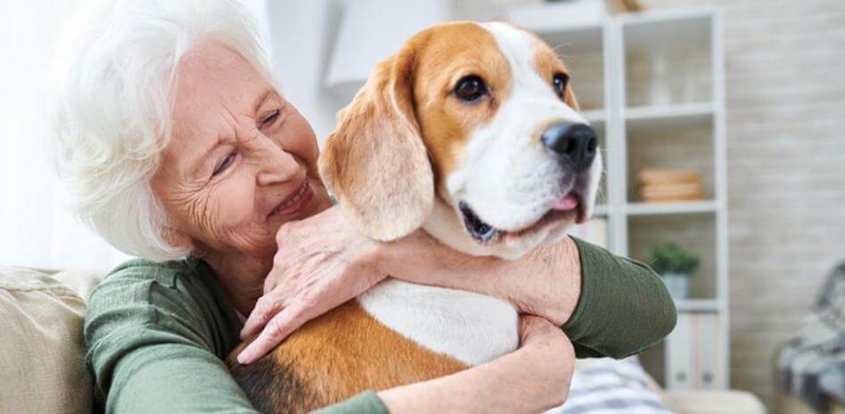Signora abbraccia il suo cane.