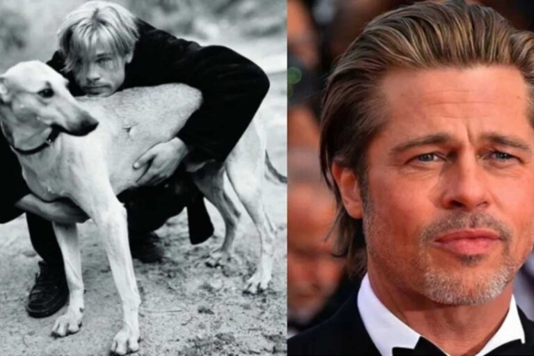 Brad Pitt y la historia conmovedora de los 13 perros rescatados en Argentina