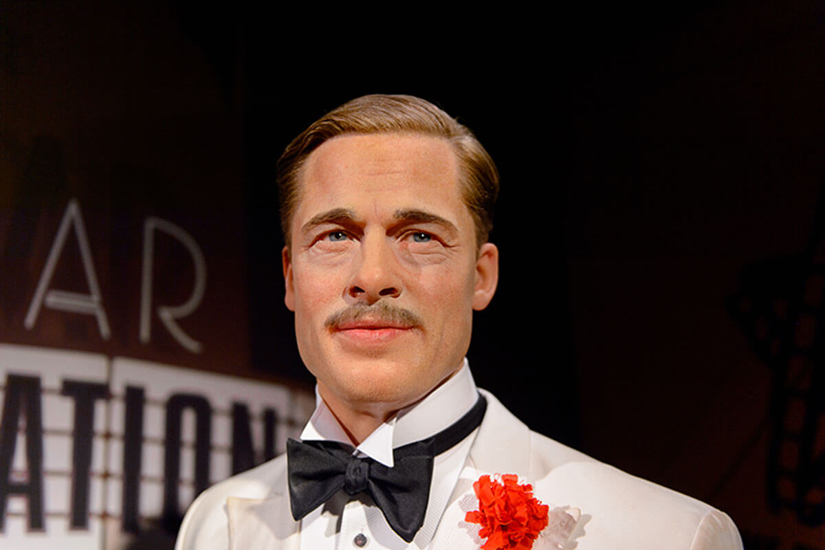 Brad Pitt rescató a los canes y les consiguió hogar a todos.