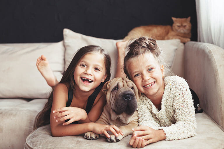Estudo afirma que conviver com cães permite às crianças um desenvolvimento particular.