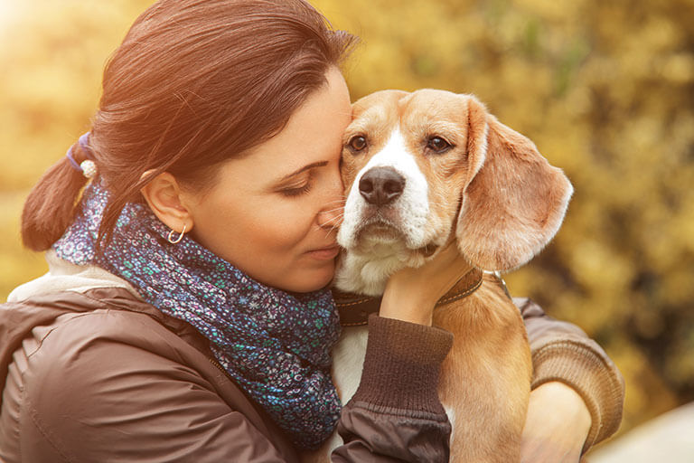 Especialistas explicam por que os cães são tão bons.