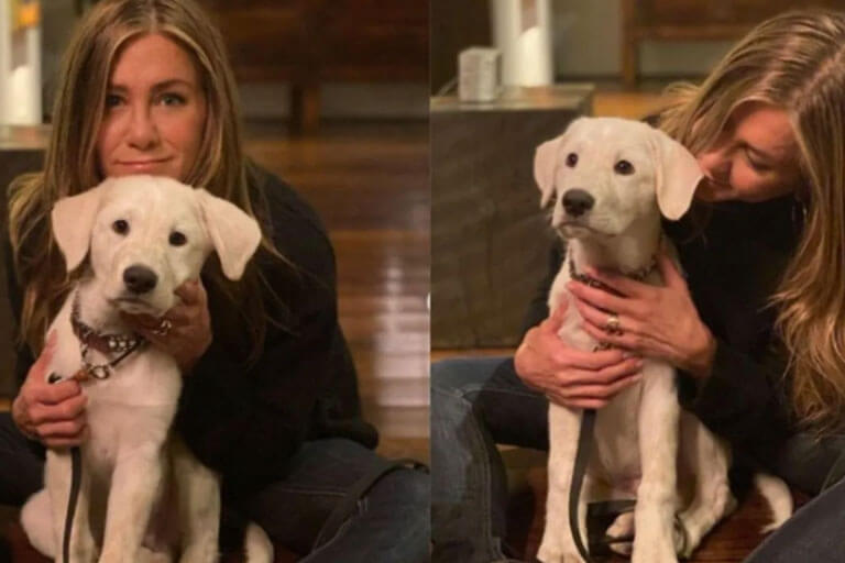 Jennifer Aniston y Lord Chesterfiel, deciden rescatar a su último perrito