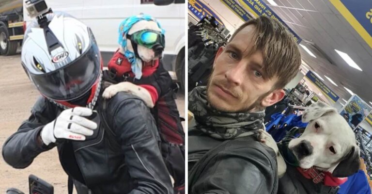 "Es mi mejor amiga": perrita motociclista recorre carreteras de Europa en los hombros de su dueño
