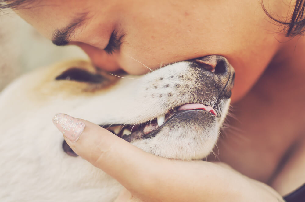 Conoce las maneras en que los perros ayudan a las personas que padecen depresión y ansiedad