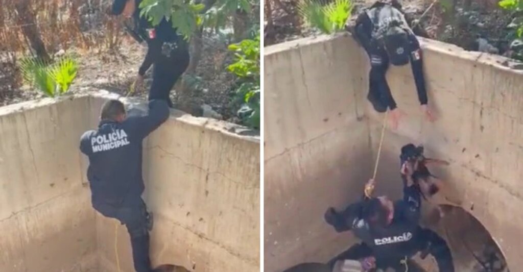 Policía fue ágil al utilizar una cuerda para poder rescatar a un perrito atrapado en un drenaje