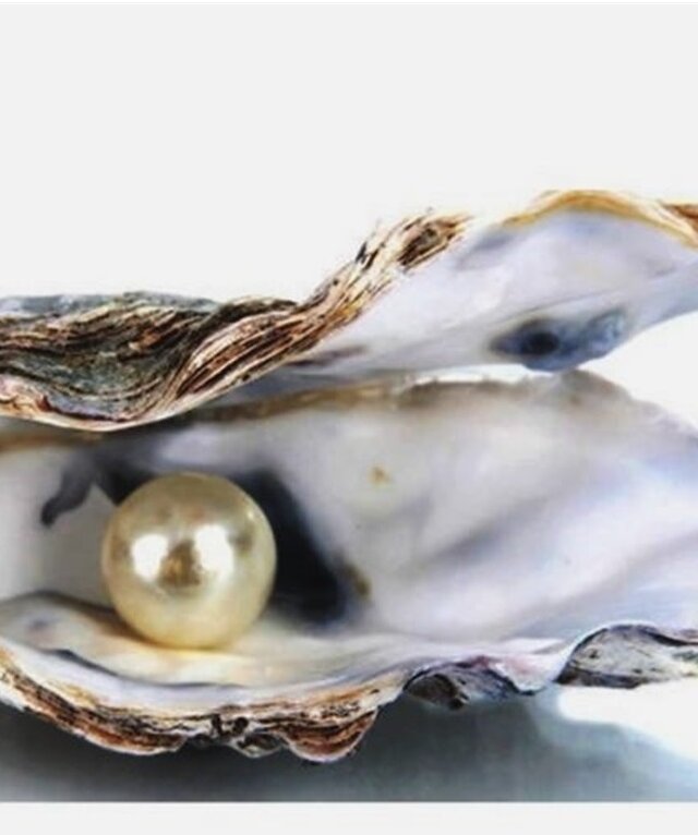 El misterioso origen de las perlas: cómo es posible que algo así se forme  en una ostra