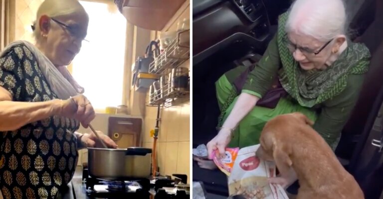 Abuelita madruga todos los días a cocinarle a perritos sin hogar, "su amor es mi medicina"