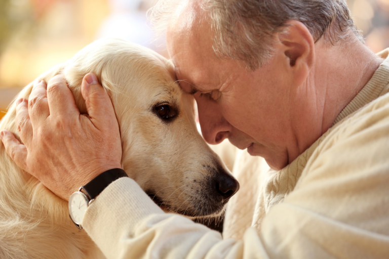 Nueva investigación reafirma la fidelidad de los perros hacia los seres humanos